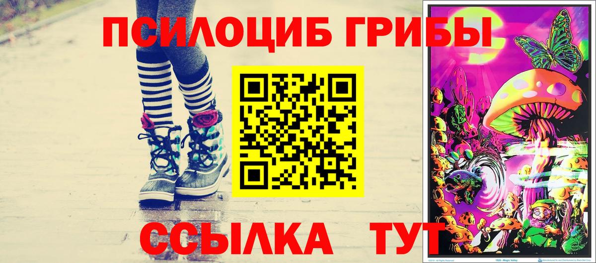 наркошоп  Вход с VPN  Коломна  Псилоцибиновые грибы Cubensis 